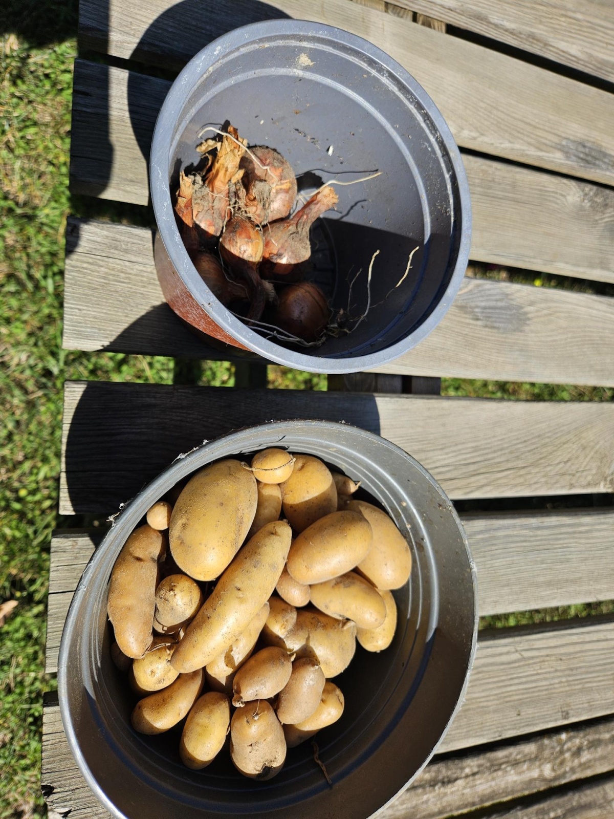 6 La récolte